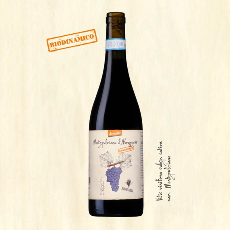 CANTINA ORSOGNA - SPIRITUS TERRAE MONTEPULCIANO D'ABRUZZO DOP